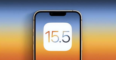 苹果手机维修分享iOS15.5 RC版升级建议 