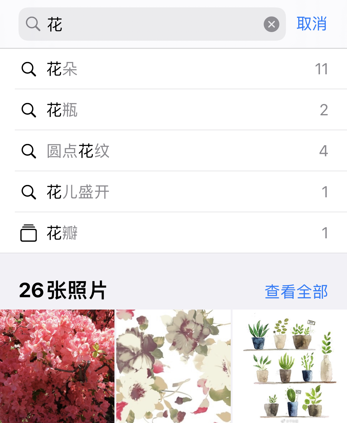 苹果手机维修分享iPhone 小技巧 