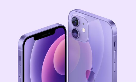 苹果手机维修分享紫色版iPhone 12有什么技术亮点 