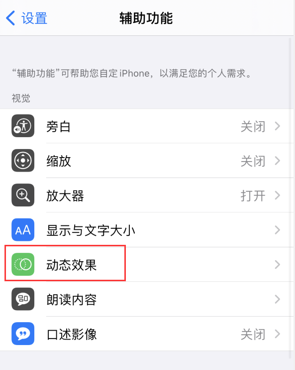 苹果手机维修分享iPhone 12 退出应用时没有动画显示，如何设置 