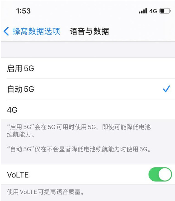 苹果手机维修分享iPhone12如何关闭5g网络 