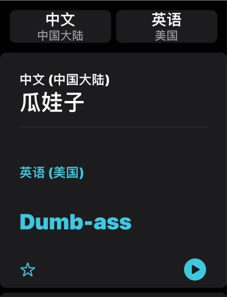苹果手机维修分享iOS14的“翻译太懂了”怎么用 